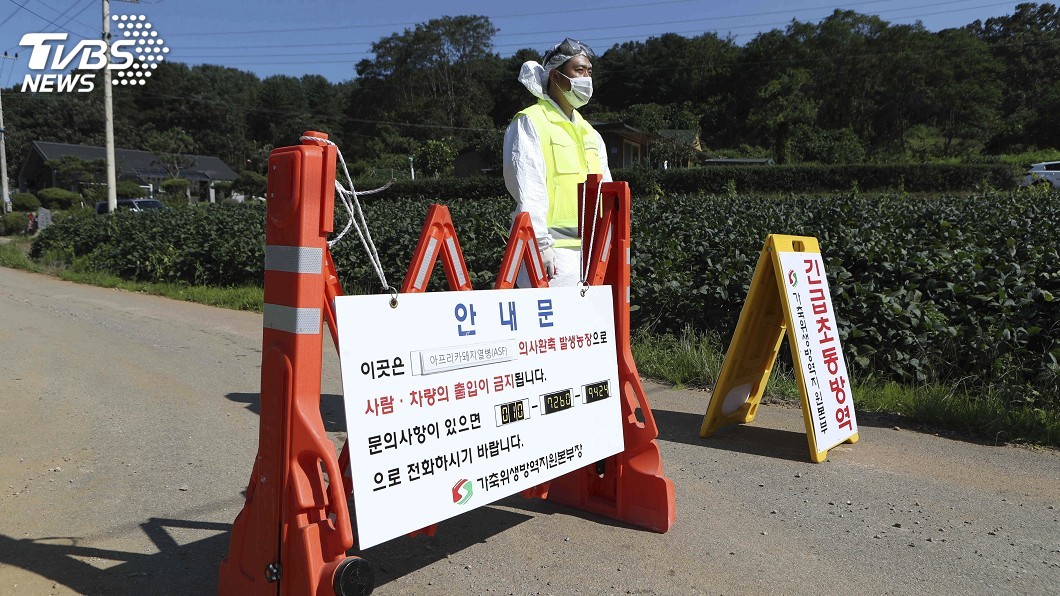 遏止非洲豬瘟蔓延　南韓劃定6市郡為防疫區