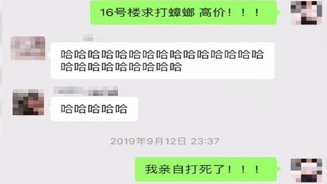 有女學生在微博發出求助文,徵求勇者幫打蟑螂,但都沒人理她。(圖/翻攝自微博)