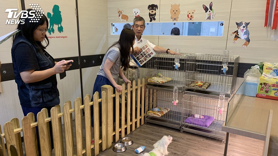 基隆寵物店評鑑 9家優等、1家限期改善