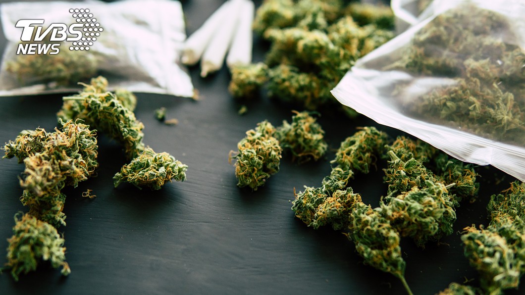 隱身民宅 檢破獲大麻工廠市值逾億