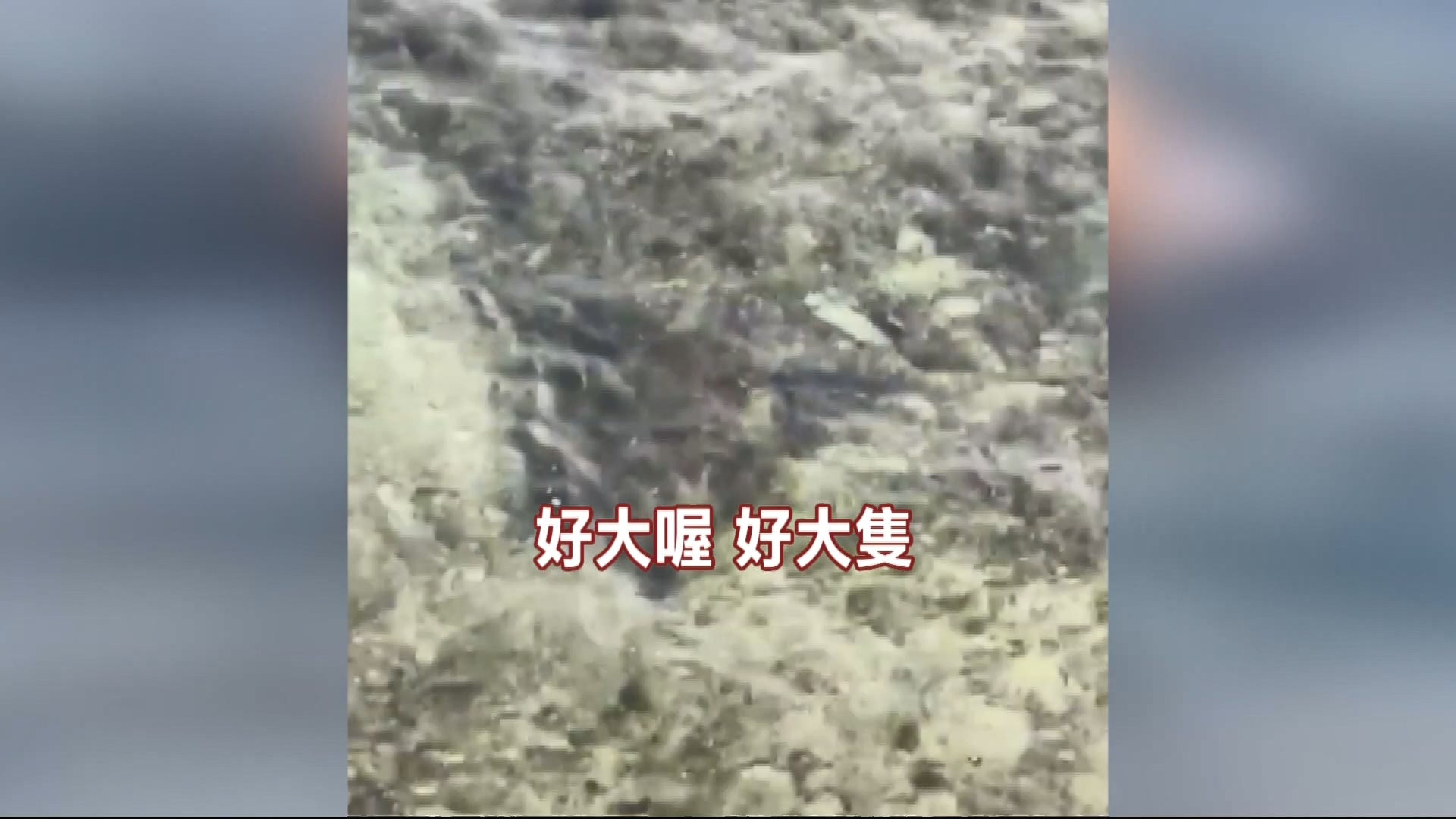 圖/翻攝臉書「小琉球聯盟」