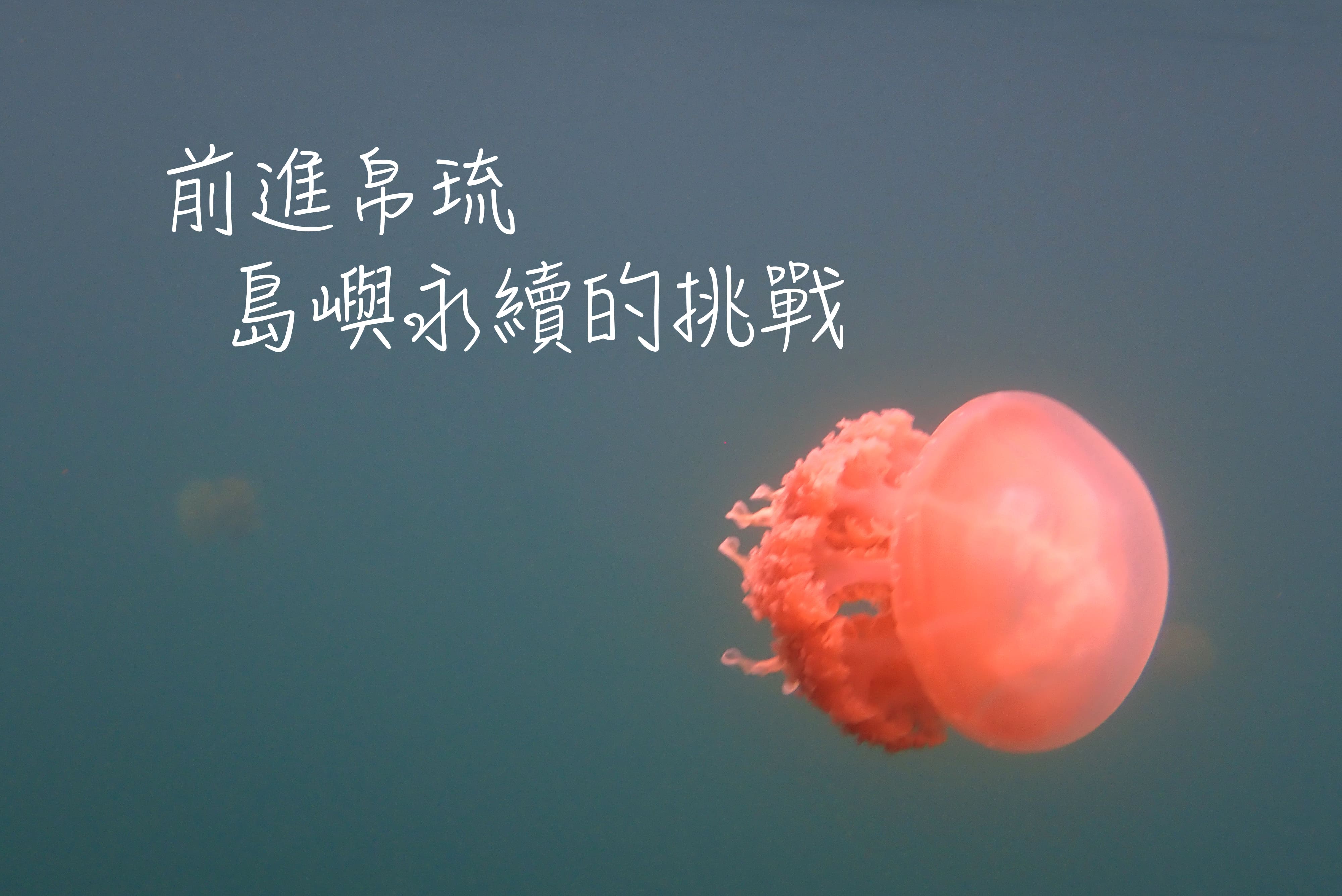 前進帛琉 島嶼永續的挑戰