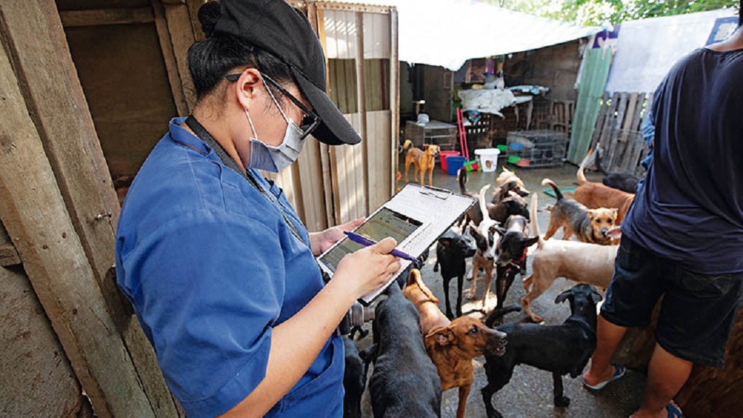 即使徐女惡行不斷,台南市動保處仍持續讓她領養犬隻,還提供補助。圖/CTWANT授權使用