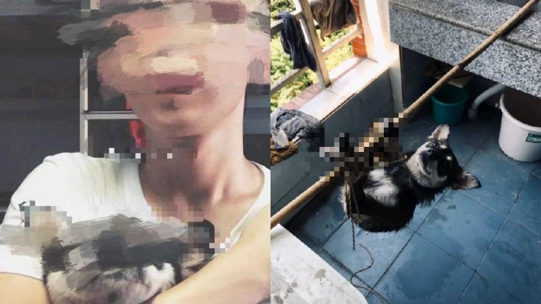 高材生爆虐殺流浪狗煮肉湯 狂分享血腥照片:氣管不好切