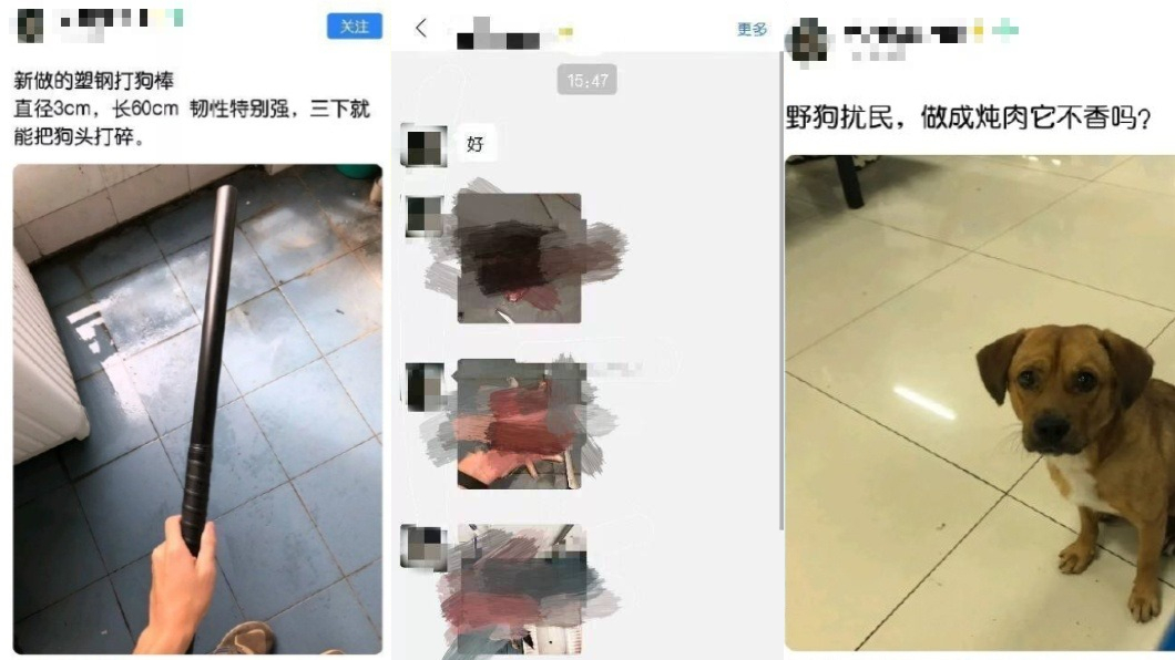 圖/翻攝自微博