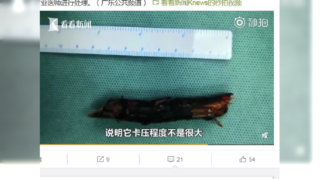 圖/翻攝自看看新聞