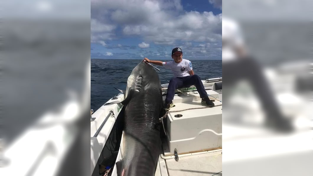傑登釣起314公斤鯊魚,破世界紀錄。圖/CoastfishTV