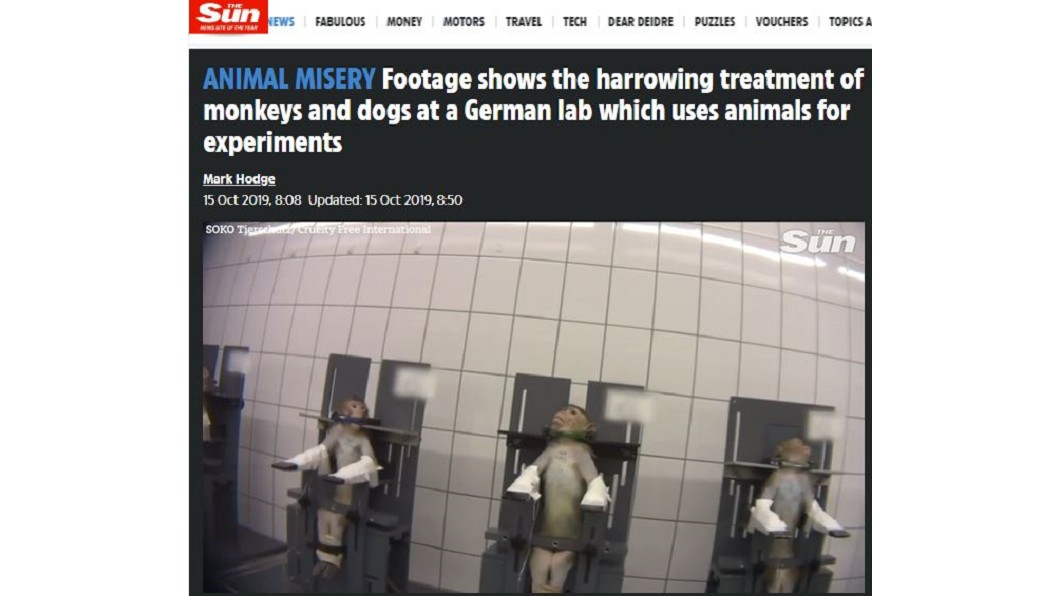 慟!猴遭鎖喉狗被灌藥物 恐怖實驗室爆虐行