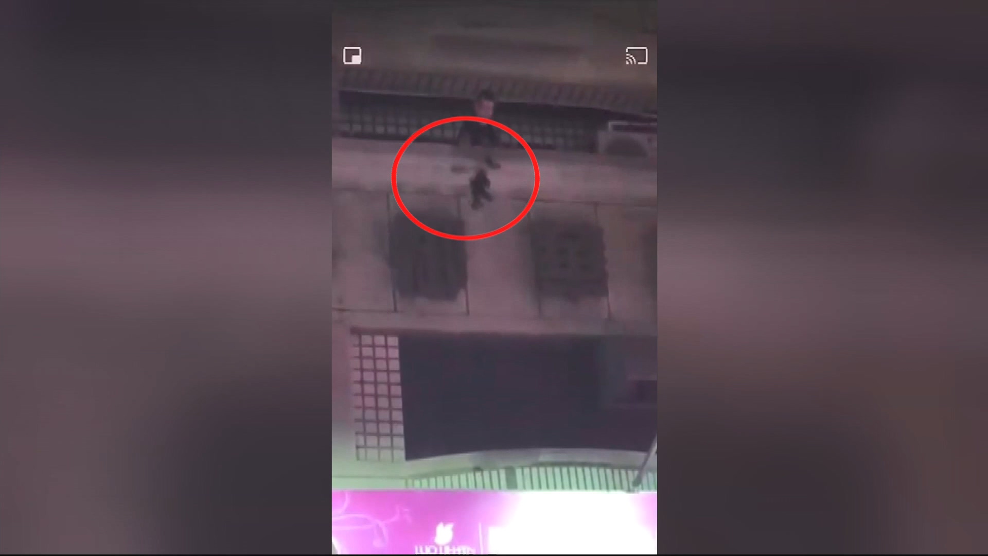 圖／翻攝自網路