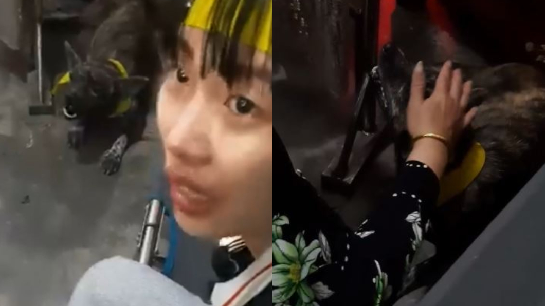 主人過世!愛犬棺材邊張嘴啜泣 全身顫抖逼哭3萬人