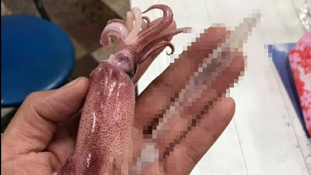 小卷內見「塑膠片」?怒批危害生態 結局神翻轉