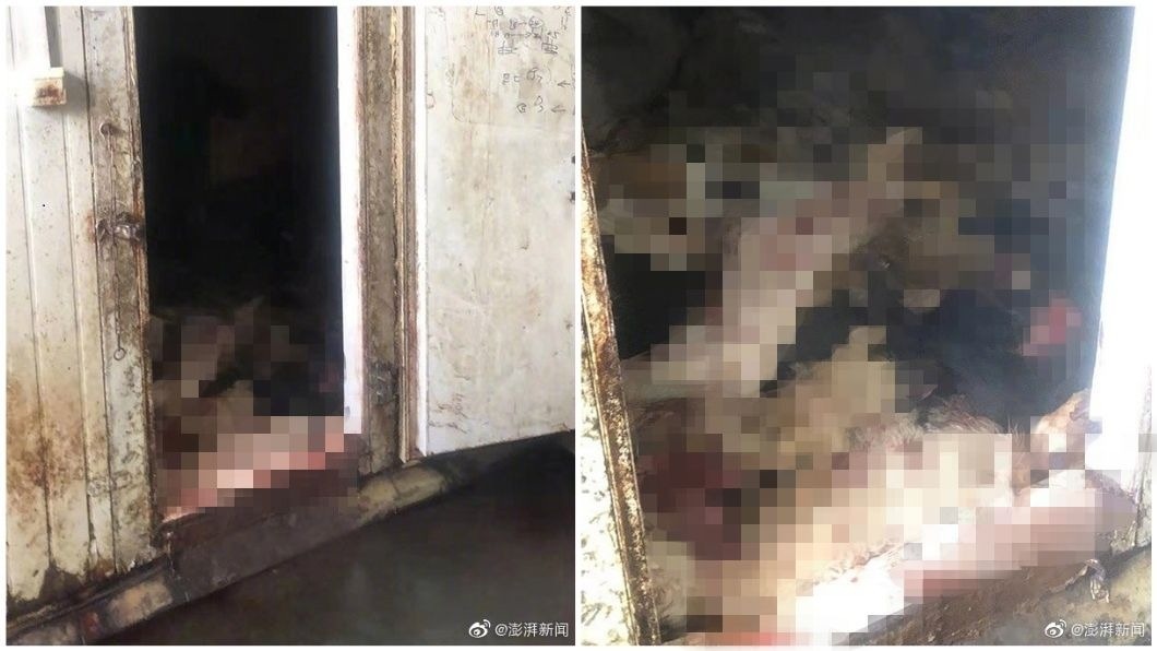 上海1名男子愛吃狗肉,竟偷取殺害上百條狗,吃不完的還放在冷凍庫準備販售。(圖/翻攝自微博合成)
