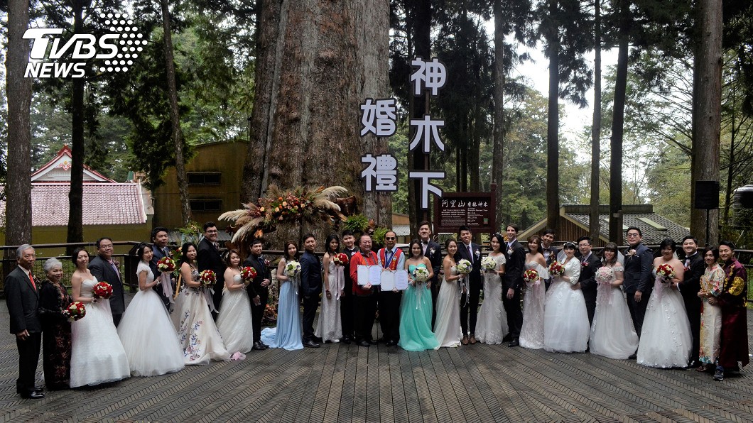 阿里山神木下婚禮 結縭43年夫妻圓蜜月夢