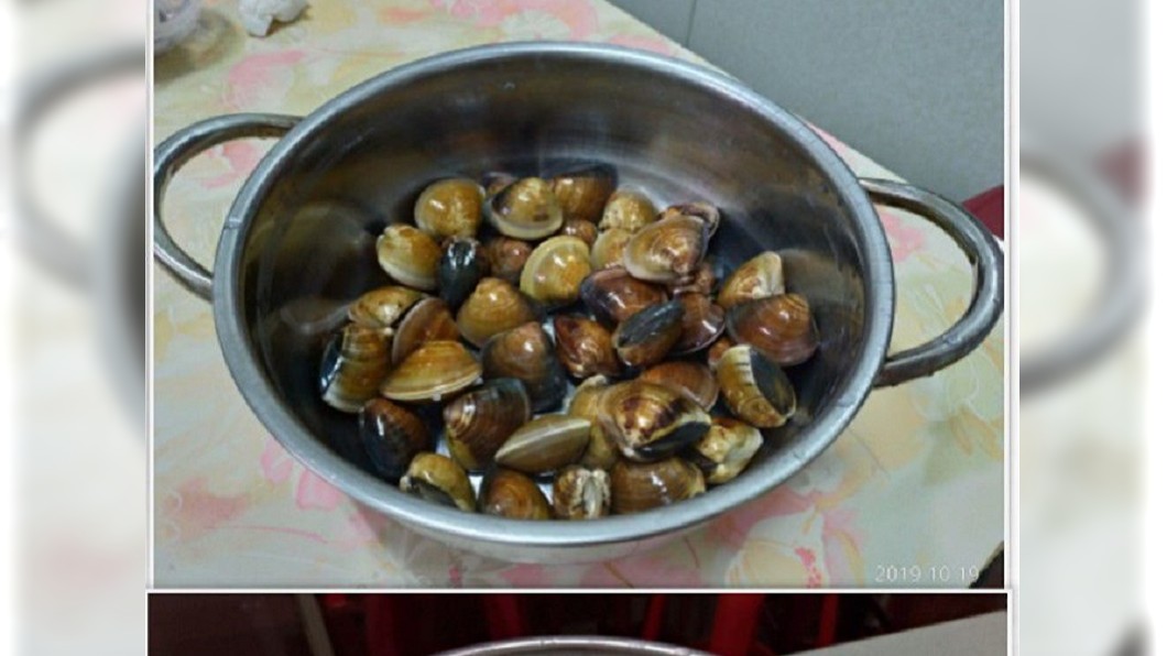 餵蛤蜊「喝奶」!老母秀獨門撇步 她驚呼:秒變肥滿