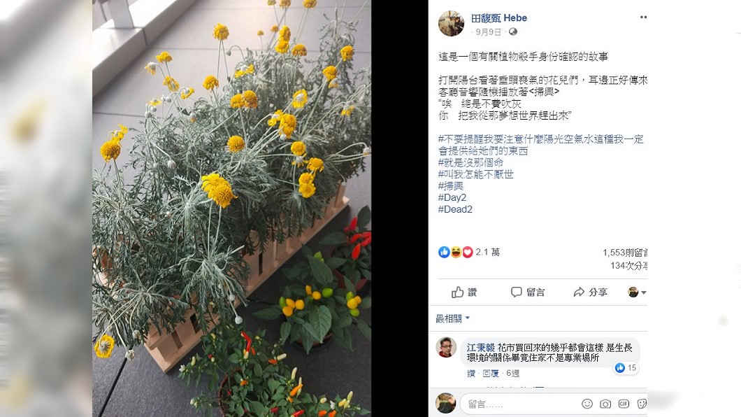 圖／翻攝田馥甄 Hebe臉書