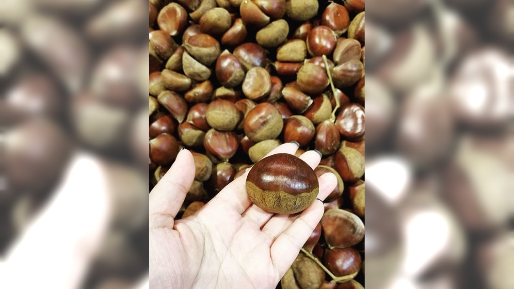 這道菜切開驚見彩蛋 融化起司混栗子美味啊