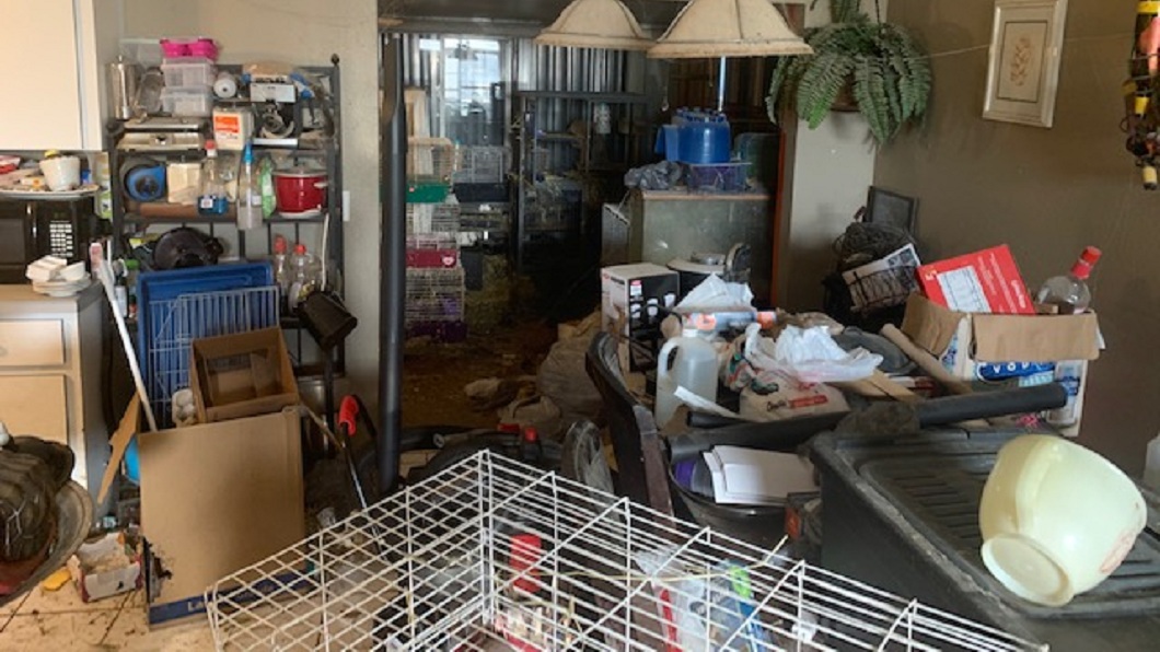 3女童與245隻動物同居…垃圾穢物堆滿屋 父母都不理