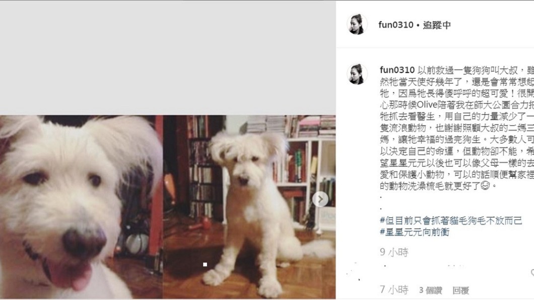 圖／翻攝自梁敏婷IG