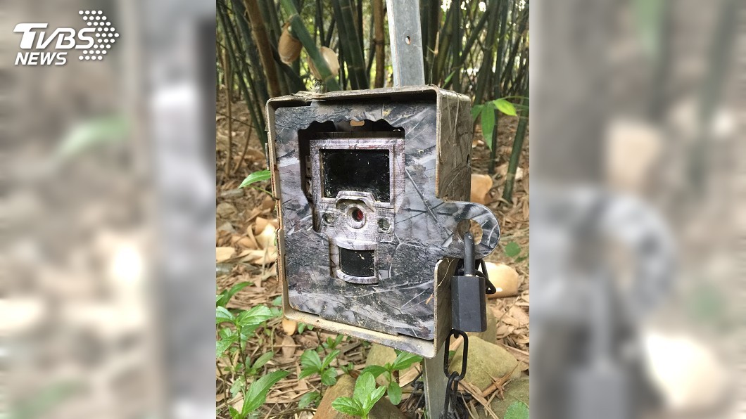 石虎監測相機竊案偵破 警逮2嫌救回2萬筆資料