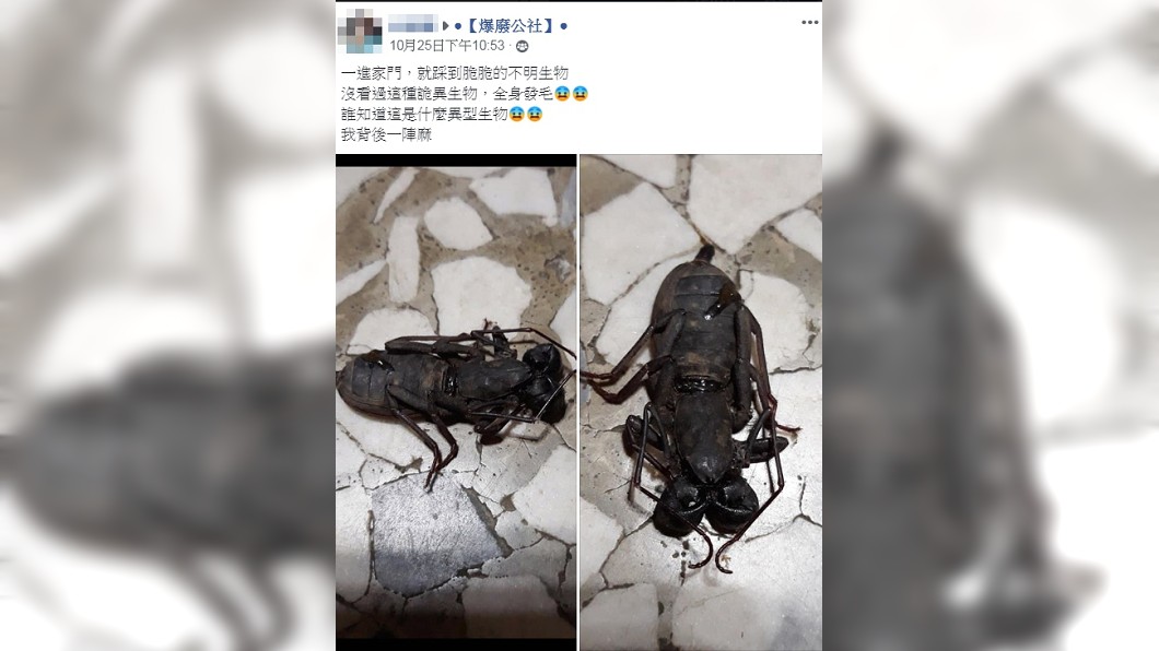 圖/翻攝自爆廢公社