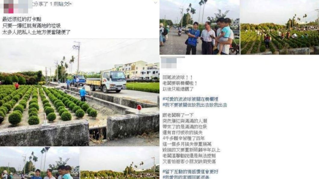 圖/翻攝自爆料公社官網