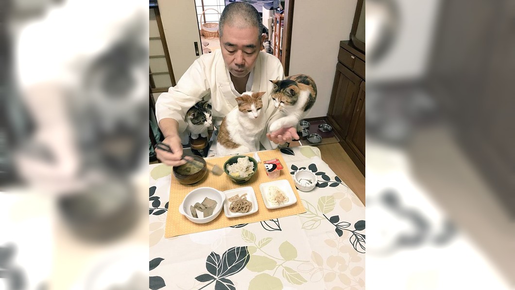 日本這位住持太幸福! 每天被萌貓包圍討摸