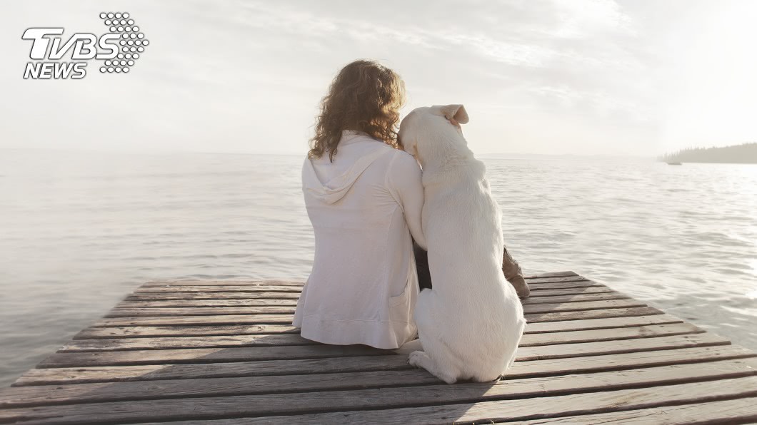 養7年愛犬遭婆婆丟掉!人妻氣炸離婚…狠墮3月兒