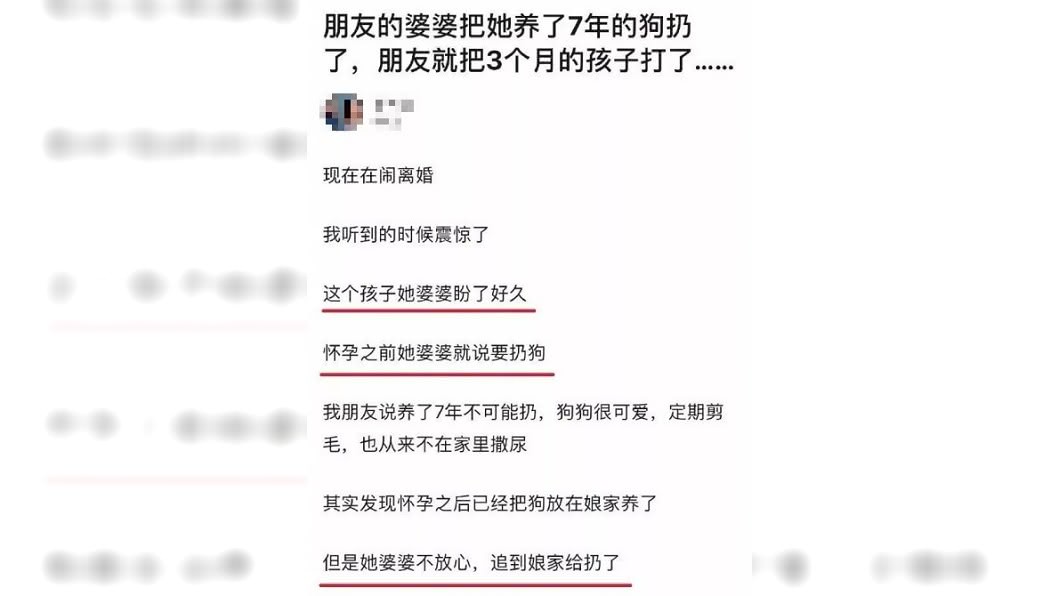 婆婆偷丟養7年的愛犬。圖/翻攝自微博