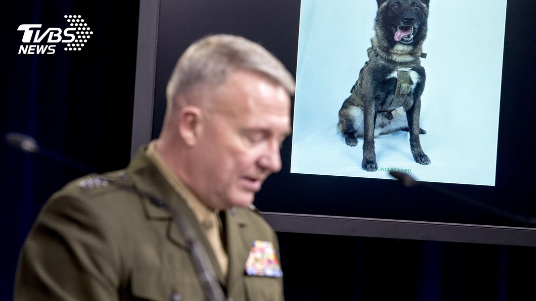 追捕ISIS立大功 超人氣軍犬「柯南」網友搞笑修圖