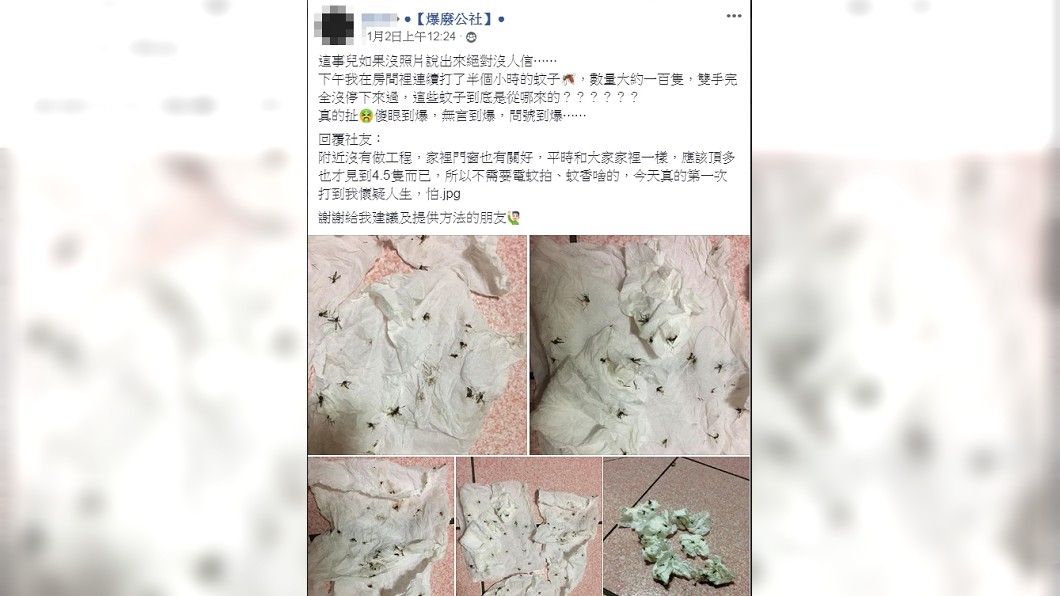 圖/翻攝自爆廢公社