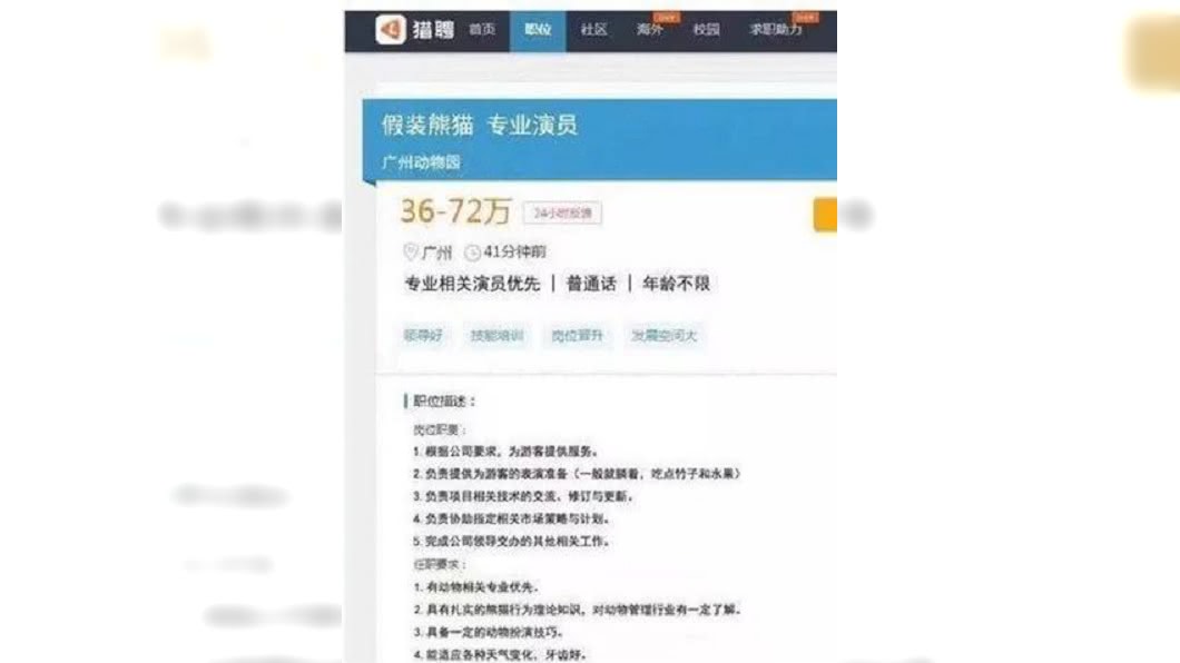 大陸網站瘋船招募廣告,聘請人扮貓熊。 圖/翻攝自微博