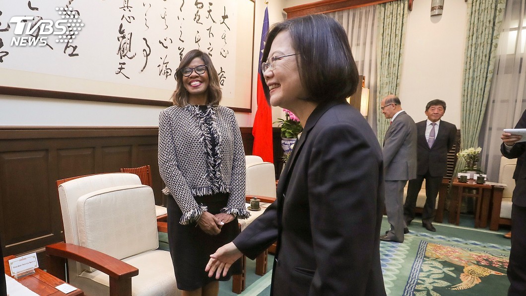 蔡總統接見美國醫師會長　盼支持台灣國際參與