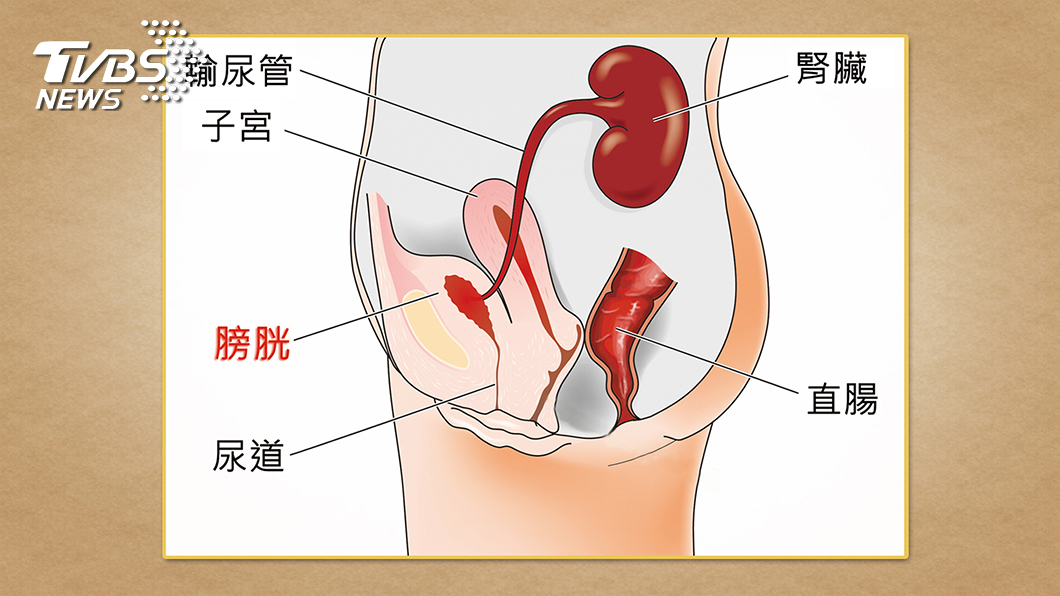 夜尿不全是膀胱的錯 小心跟這些疾病有關
