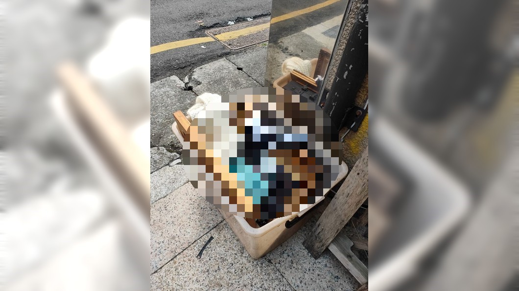 開店驚見詭異箱子 她探頭一看嚇壞:誰的遺照…