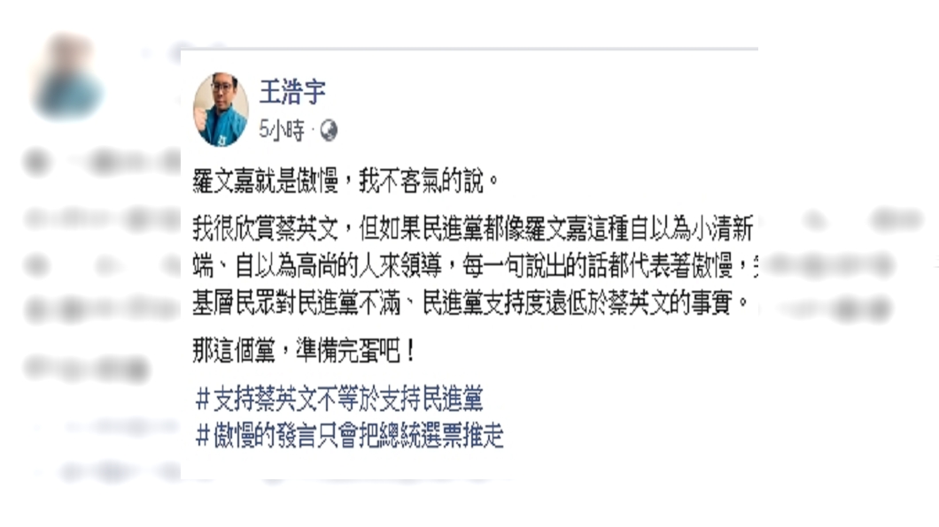 圖/翻攝自王浩宇臉書