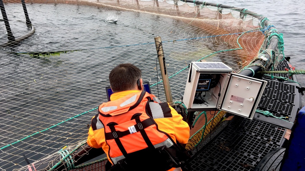 英國5G下鄉　智慧通訊助鮭魚、威士忌產業