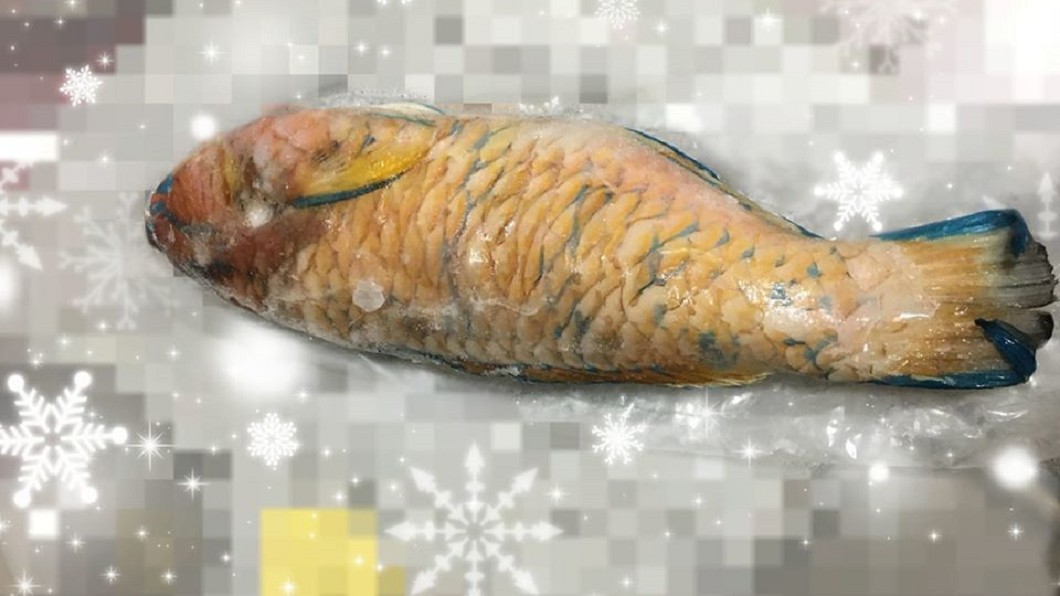 原PO收到一條魚。圖/翻攝自爆廢公社二館