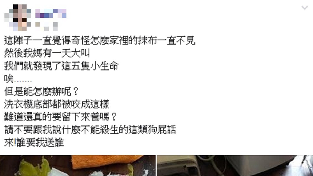 圖/翻攝自「爆怨公社」
