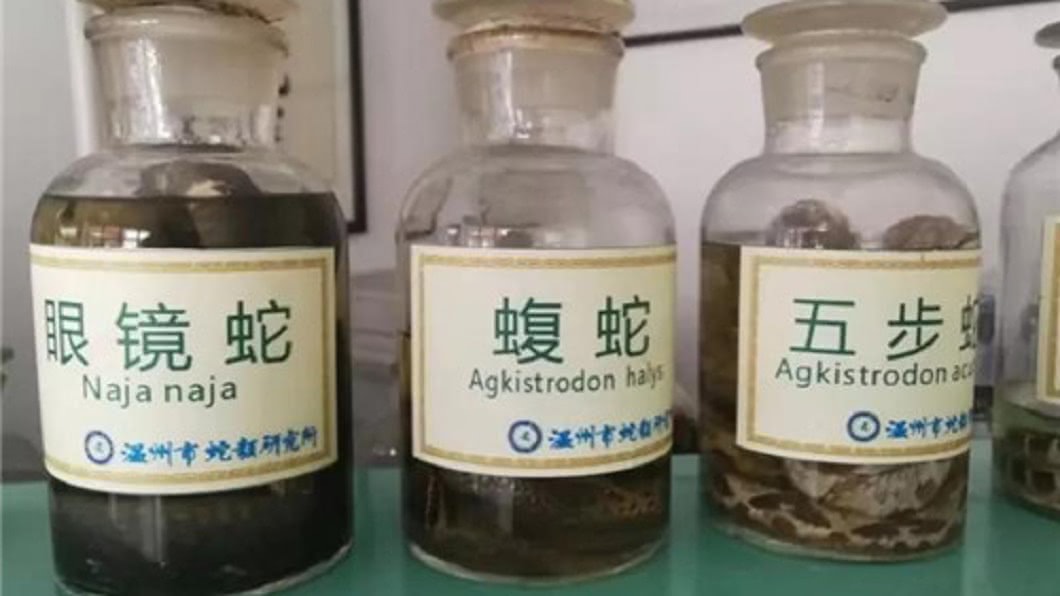 圖/翻攝自新浪網