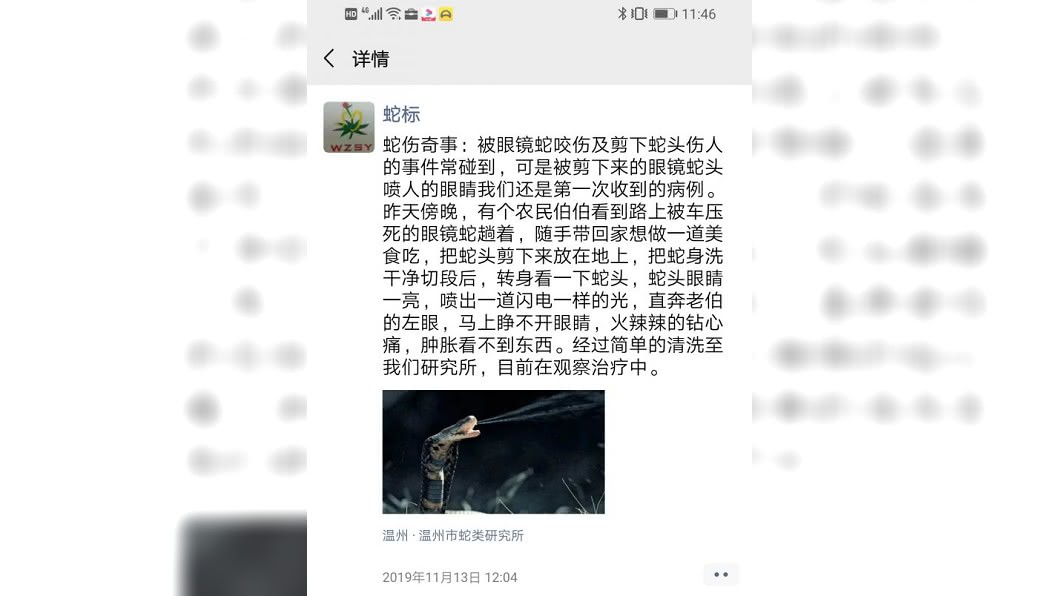 圖/翻攝自新浪網