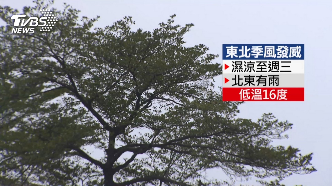 圖／TVBS