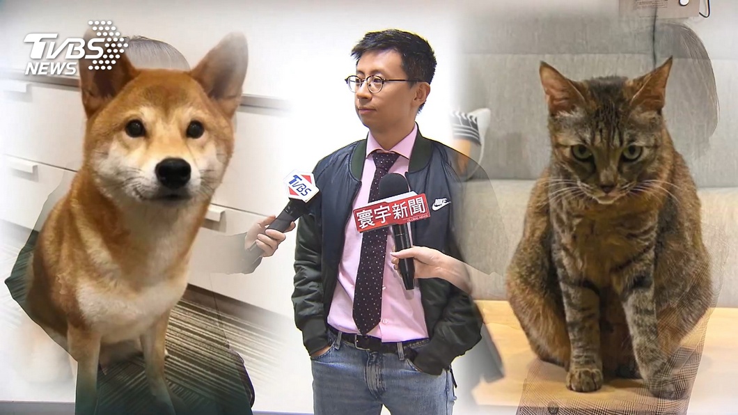 神犬領軍! 歡樂無法黨不分區推雞排妹、館長