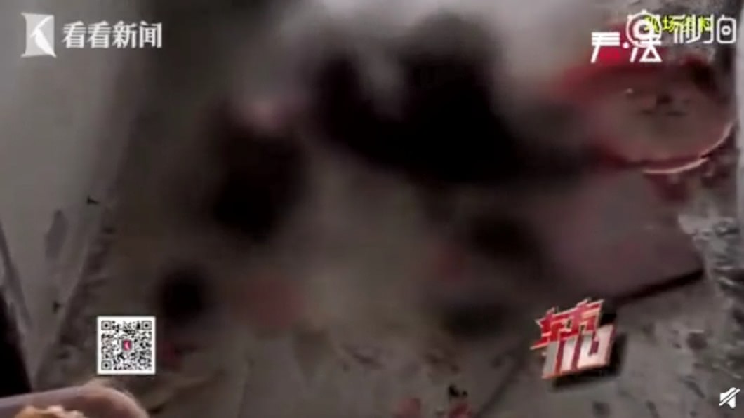 裝修老宅挖出「乾黑肉塊」!工人嚇瘋 警揭驚悚內幕