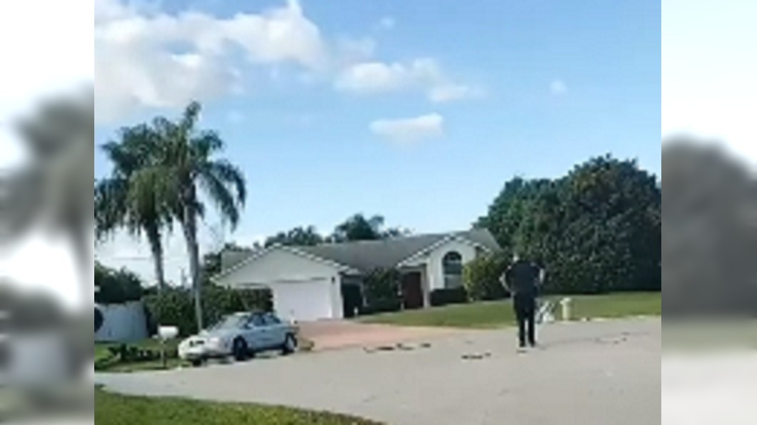 車子倒退旋轉1小時 駕駛竟然是一隻狗
