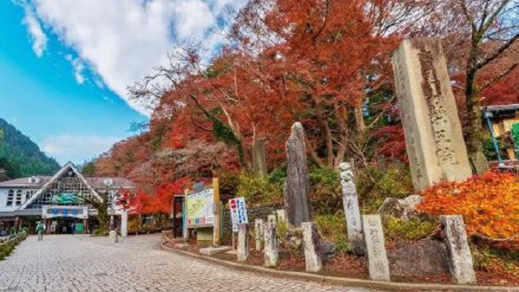 人潮擠爆!東京紅葉名景「高尾山」 賞楓亂象多
