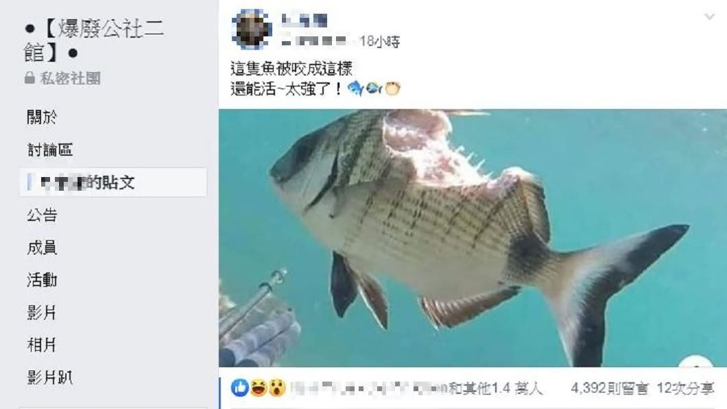 該篇發文引發網友熱烈討論。(圖/翻攝自爆廢公社二館)