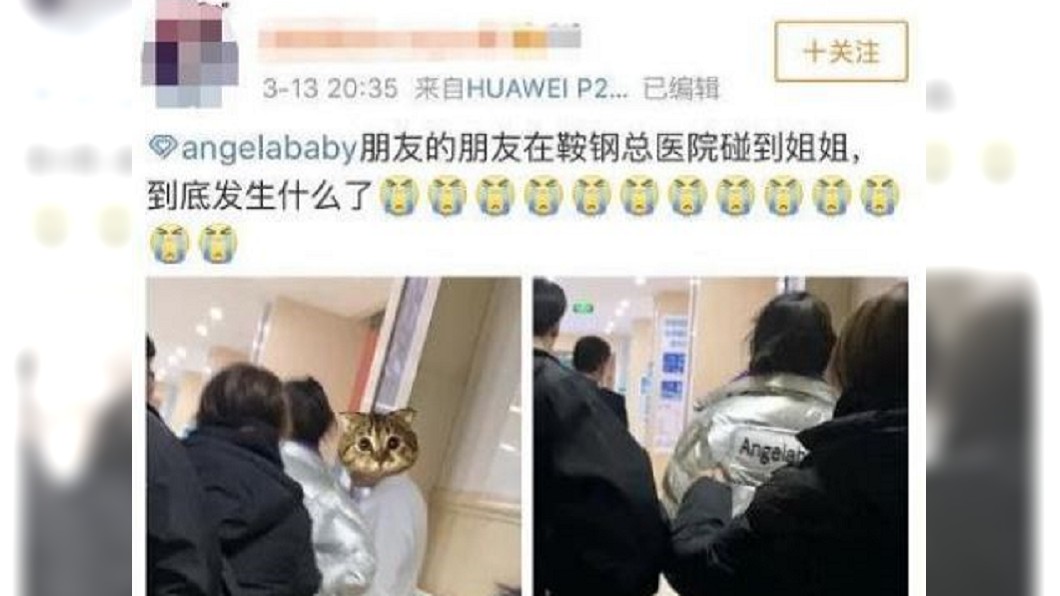 圖/翻攝自新浪娛樂微博