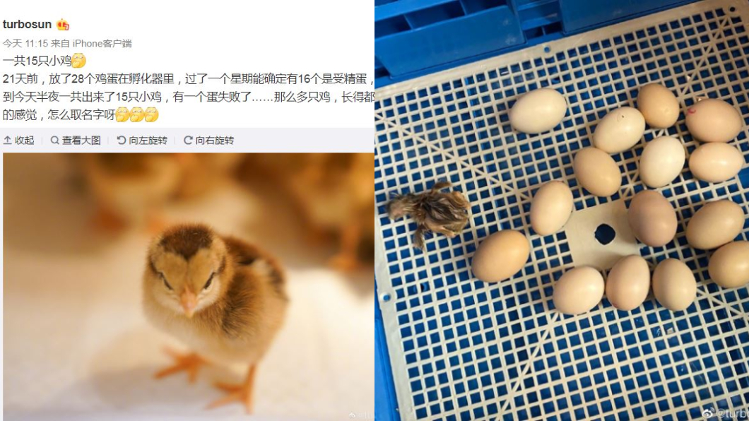 圖/翻攝自孫儷微博