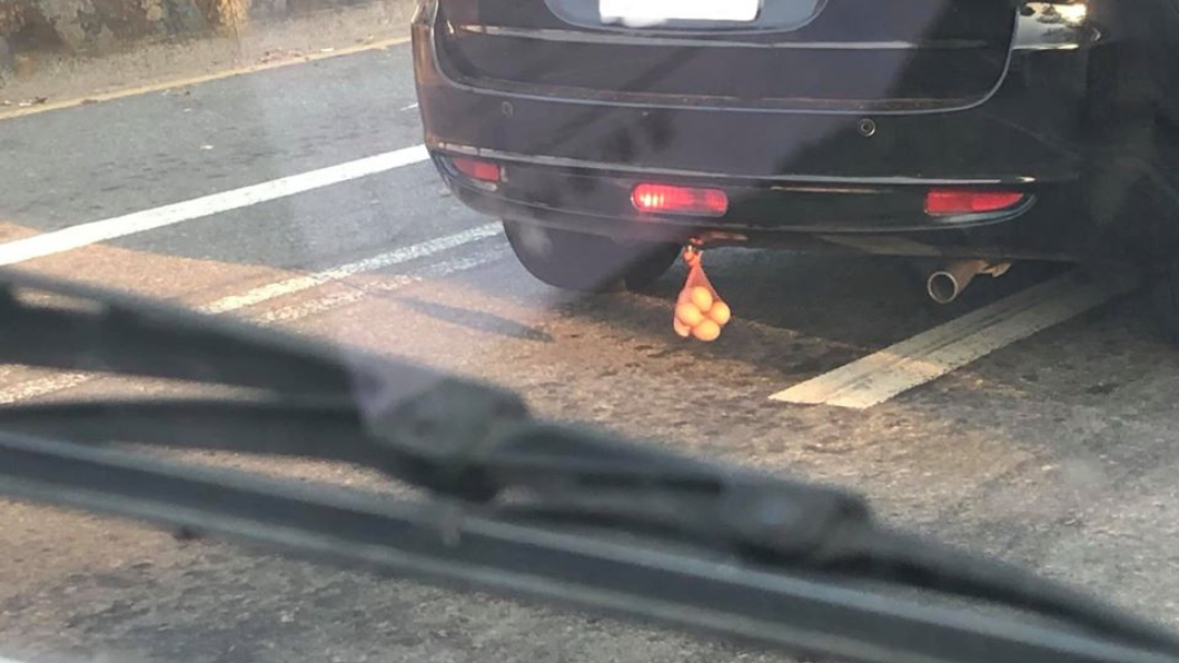 「車尾掛雞蛋」啥用途? 內行人曝驚悚真相