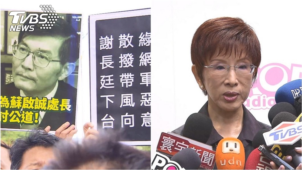 卡神逼死外交官? 洪秀柱PO文怒批綠網軍破壞民主
